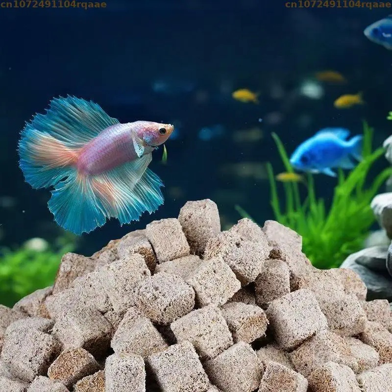 หนอนเลือดอบแห้งแบบธรรมชาติ รูป - Marine Aquarium Cube บทวิจารณ์และราคา