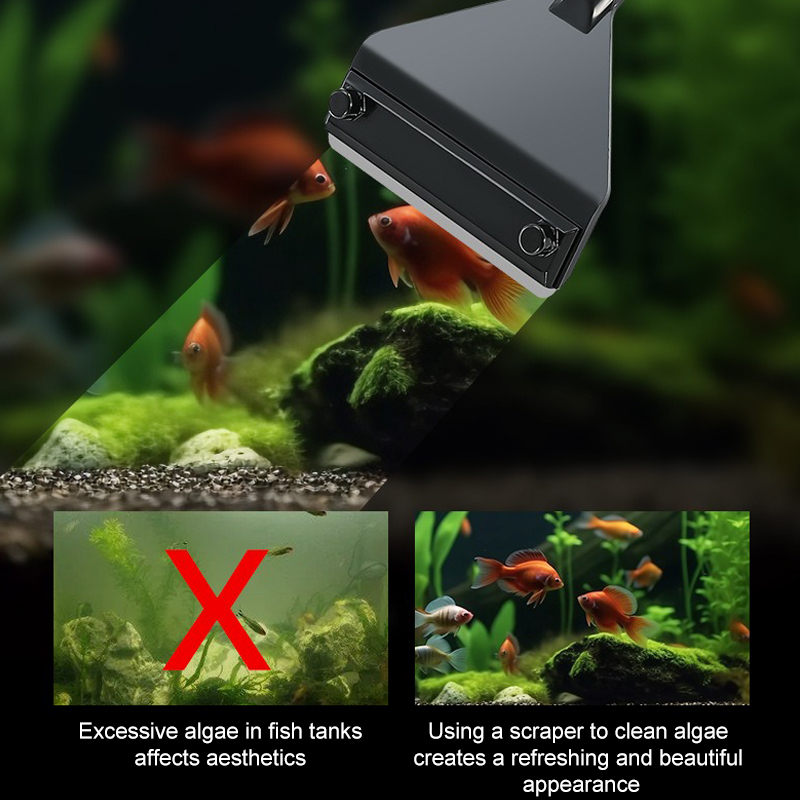 พิพิธภัณฑ์สัตว์น้ําสาหร่ายRemo - Marine Aquarium Glass Cleaner บทวิจารณ์และราคา