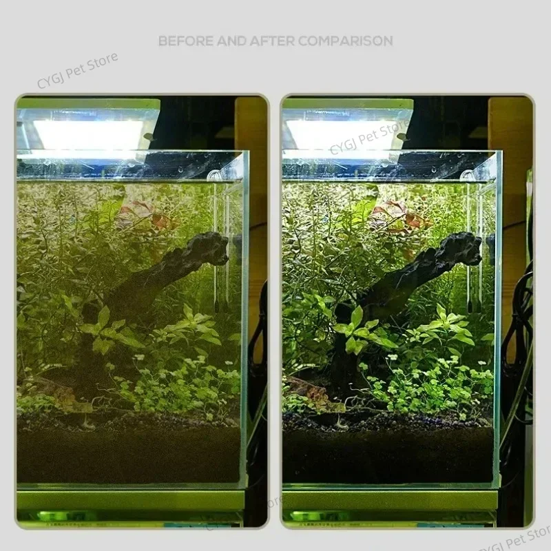 เครื่องมือทําความสะอาดถังปลาแบ - Marine Aquarium Glass Cleaner บทวิจารณ์และราคา