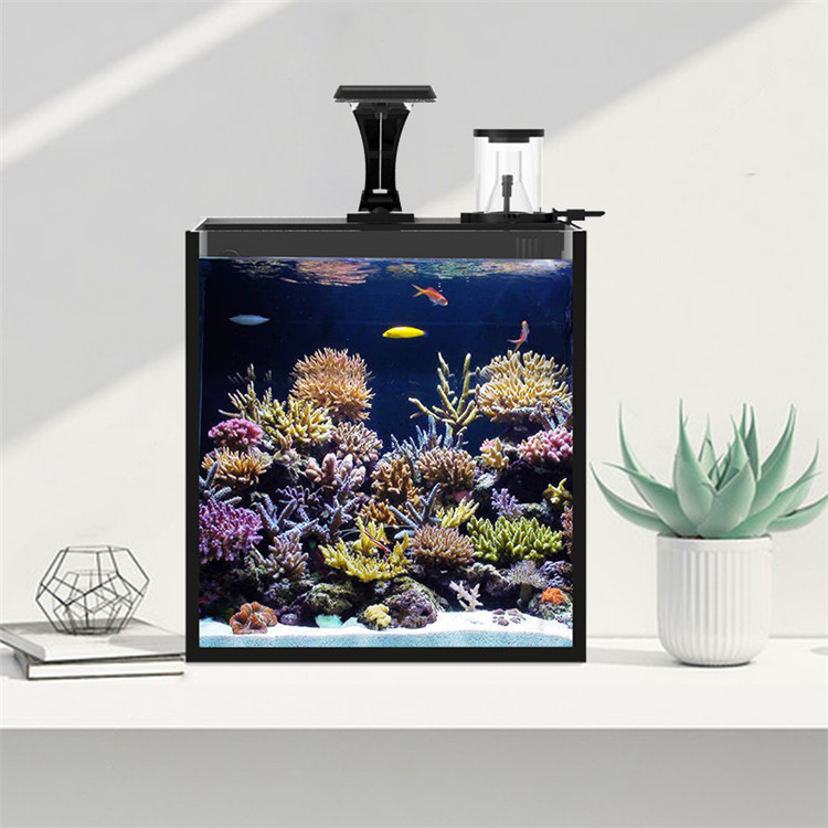 กล่องอุปกรณ์กรองน้ำทะเลขนาดเล็ - Marine Aquarium Cube บทวิจารณ์และราคา
