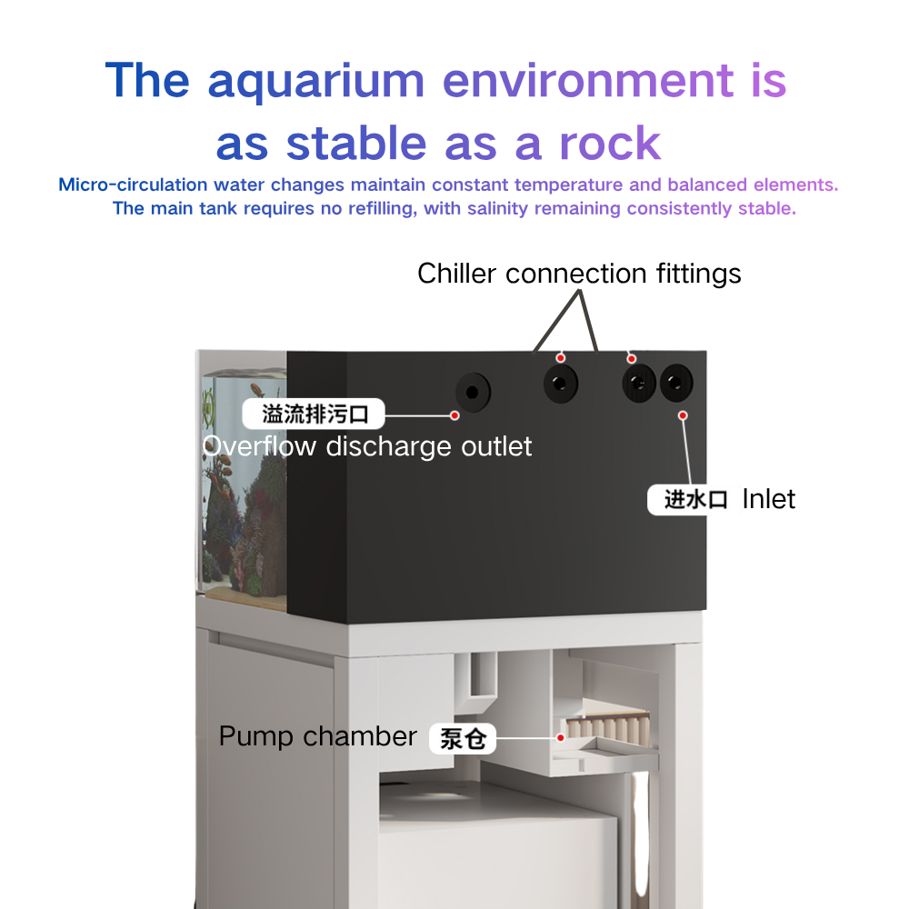 ตู้ปลาอัจฉริยะ Paopaoshark ระบ - Marine Aquarium Cube บทวิจารณ์และราคา