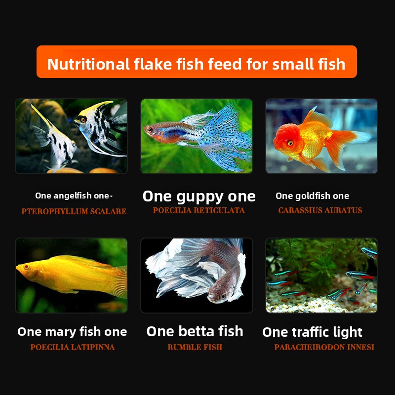 อาหารปลาสไปรูลิน่าแบบเกล็ด ตรา - Tetra Food Goldfish Flakes บทวิจารณ์และราคา