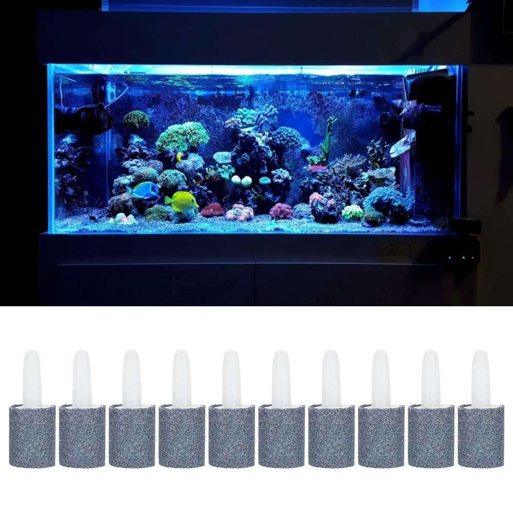 หินออกซิเจนทรงกระบอกสำหรับตู้ป - Aquarium Marine Sand บทวิจารณ์และราคา